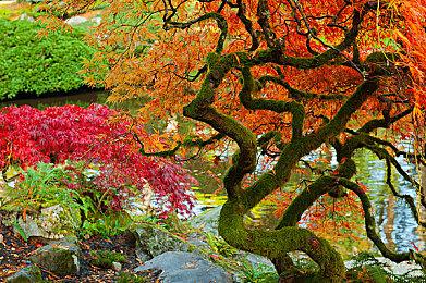 《战锤40K：星际战士2》紧急更新解决隐身滥用问题